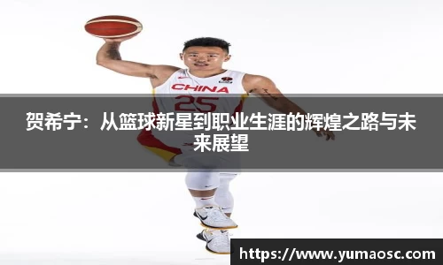 贺希宁：从篮球新星到职业生涯的辉煌之路与未来展望