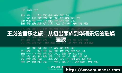 王岚的音乐之旅：从初出茅庐到华语乐坛的璀璨星辰