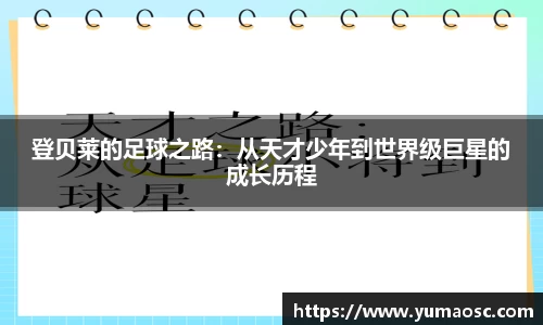 8858cc永利
